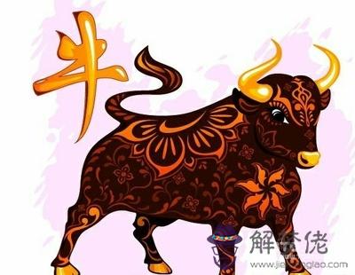 97年的牛適合哪個行業:97年的屬牛適合做哪個行業