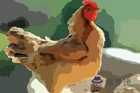 年屬虎的運勢:年屬虎人的全年運勢如何?