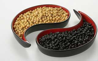 雞年12生肖將收獲什麽幸運大禮包