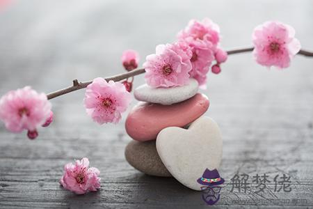 八字測己亥年的桃花運 第1张