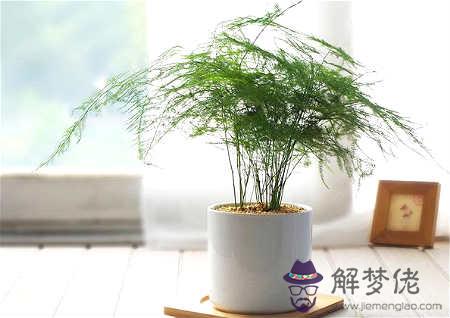 風水如何旺學業 第3张
