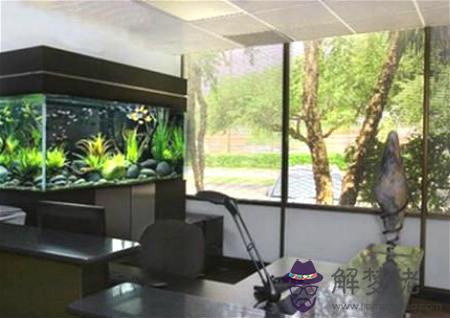 公司魚缸擺放風水 - 辦公室放魚缸最佳位置 第2张