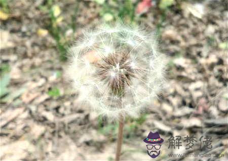 招桃花頭像 - 桃花運頭像禁忌 第1张