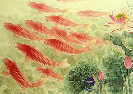 荷花鯉魚圖 - 荷花鯉魚圖禁忌 第2张