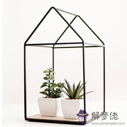三觀超級無敵正的生肖 第4张