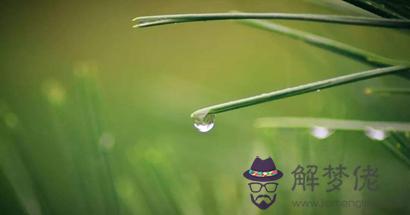 2019年屬猴的人桃花在哪個方向 屬猴人風水吉位解析 第1张