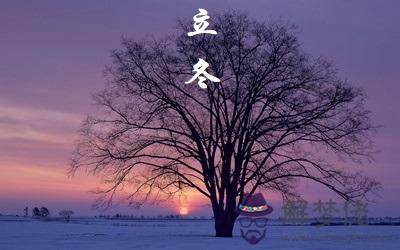 立冬節氣出生的生肖屬牛人命運好不好？ 第3张