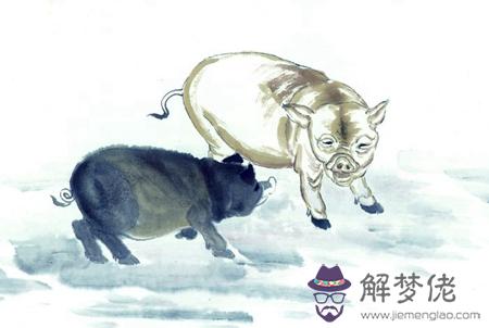 屬豬從2019年9月到年底感情運越來越好嗎？ 第1张