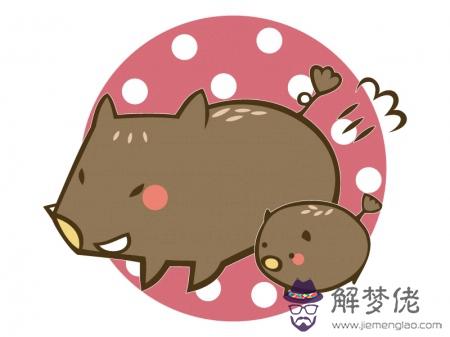 屬豬從2019年9月到年底感情運越來越好嗎？ 第2张