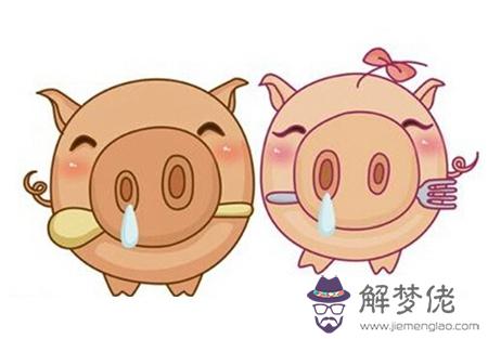屬豬的人2019年離過年的時間里健康運怎麽樣？ 第2张
