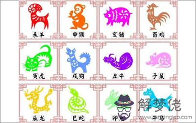 幾月份生肖狗會犯月 第3张