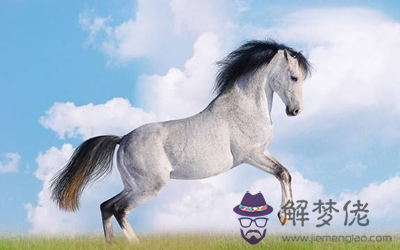 屬馬人與什麽生肖最配呢 第2张