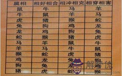分析老鼠跟猴子的屬相會相沖嗎！ 第3张