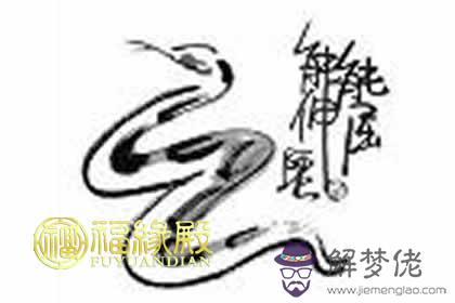 屬馬的男生和屬蛇的女生幸福指數 第1张