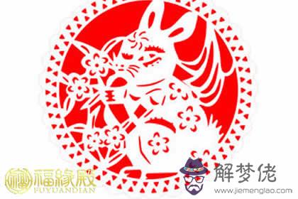 屬兔的名人有哪些,盤點歷史上屬兔的名人 第1张