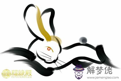 生肖兔性格分析生肖兔性格優缺點 第1张