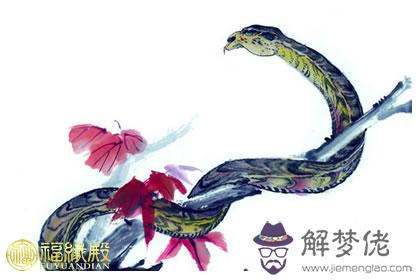 運程預測：2016年屬蛇每月運勢 第1张