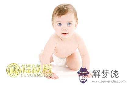 2017年屬雞的命途全面解析 第1张