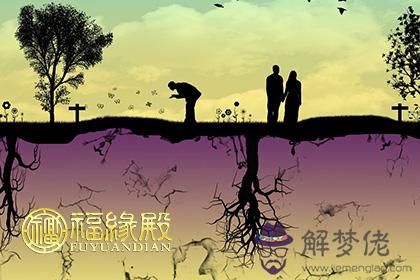 十二生肖的一生的劫數！ 第1张