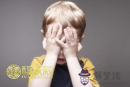 屬雞人腦子進水之后會變成什麽樣 第1张