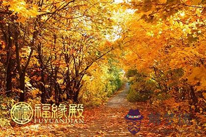 十二生肖在哪個瞬間驚覺自己荒廢了時間 第1张