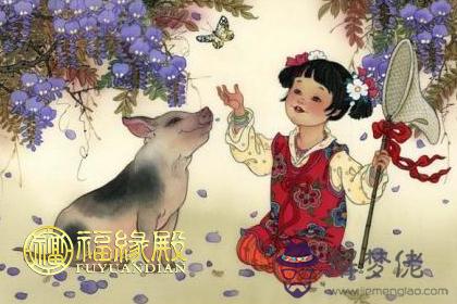 屬豬的是哪年出生的屬豬的人2017年幾歲 第1张