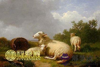 屬羊的女人性格特點分析 第1张