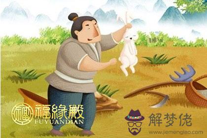 十二生肖成語故事你記得多少 第1张