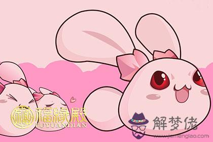 屬兔的人適合做什麽行業 第1张
