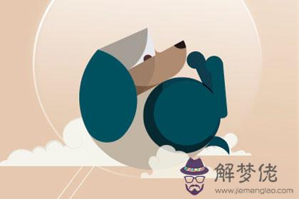 屬狗幾月份出生好 第1张