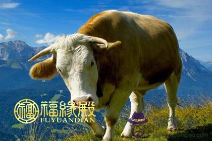 喜歡去迪士尼的生肖有哪些 第1张