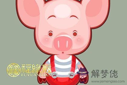 屬豬的今年2018年多大歲數 第1张