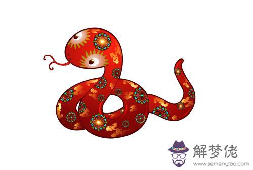 李居明12生肖2019年運程預測——生肖蛇 第3张