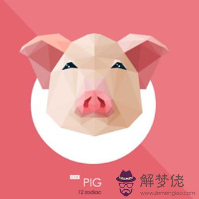 十二月生肖豬運程點評 第1张