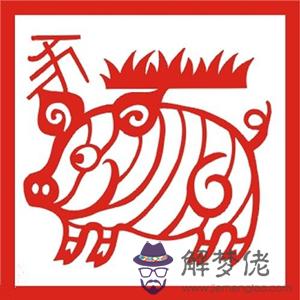 生肖豬暴富年份大揭秘 第1张