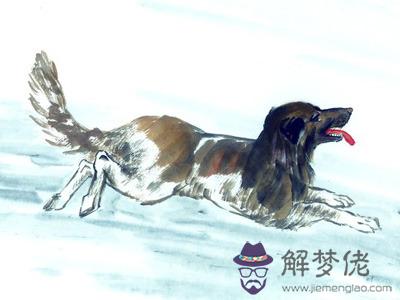 關于狗的寓言故事 第1张
