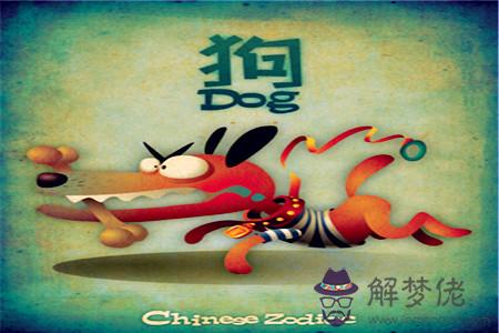 衰運纏身！生肖狗要注意的月份 第1张