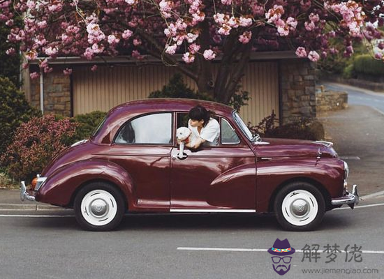 羲邑師姐生肖狗一周運勢（1.15-1.21） 第1张
