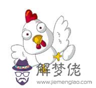 生肖雞的最佳手機款式 第1张