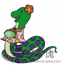 屬蛇的全年瘦身符 第1张 屬蛇的全年瘦身符 第1张