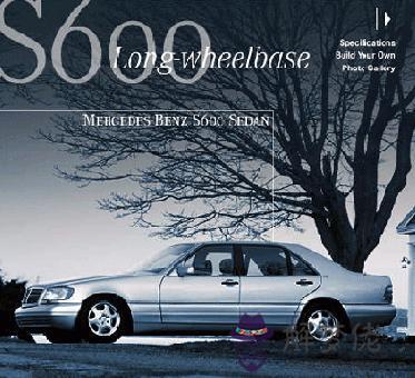 生肖蛇最喜歡的愛車 第1张