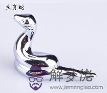生肖蛇在英語中的象征意義 第1张