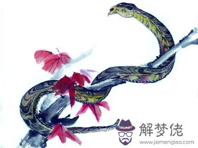 關于蛇的寓言故事 第1张