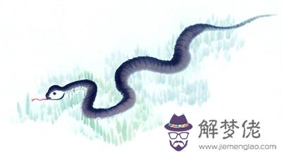 關于蛇的成語與蛇有關的成語帶蛇字的成語 第1张