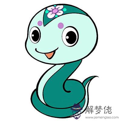 生肖蛇的魅力 第1张
