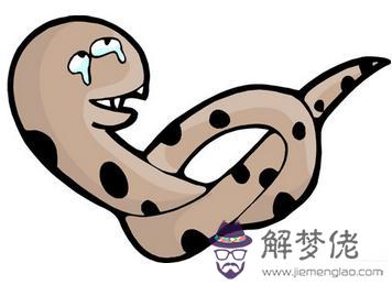 生肖蛇的擇偶標準 第1张 生肖蛇的擇偶標準 第1张