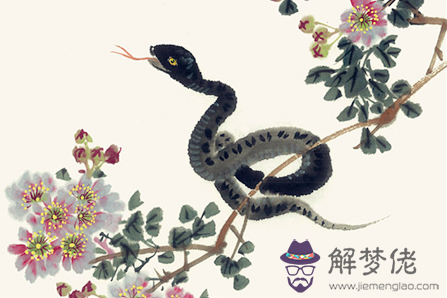 2016屬蛇人的作為 第1张