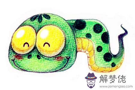 12生肖的吃醋表現—蛇 第1张