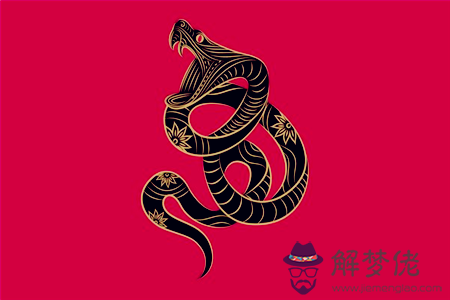 12生肖如何改寫命運——蛇 第1张
