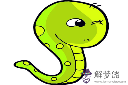 12生肖如何表達愛——蛇 第1张